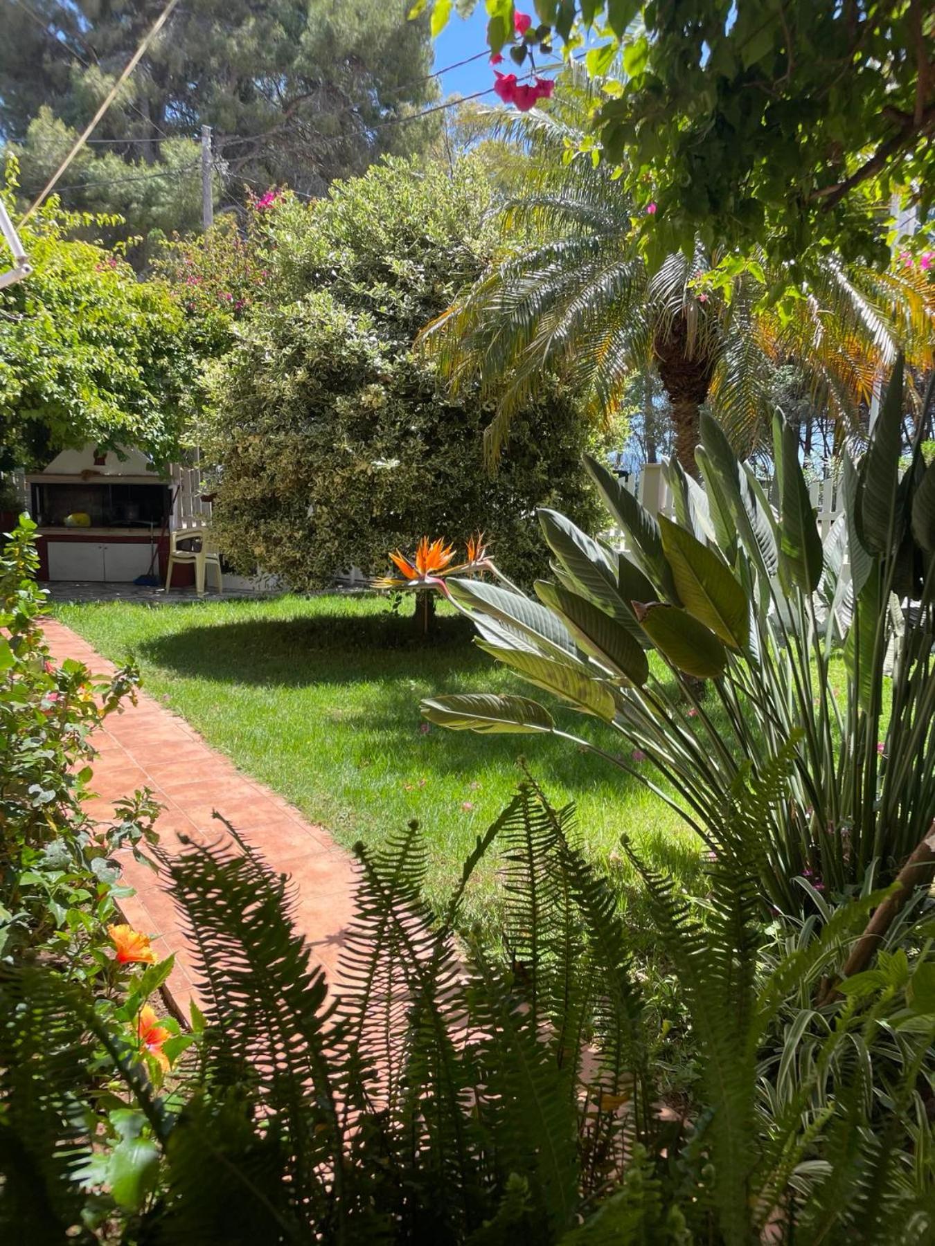 Buganvillas Studios Preveza Esterno foto